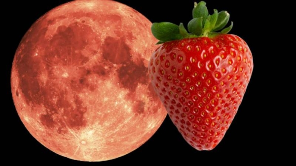 Что следует ожидать от новолуния и полнолуния в июне 2022 года Что следует ожидать от новолуния и полнолуния в июне 2022 года