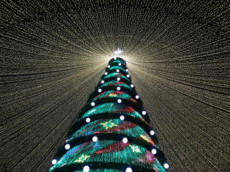 Новогодний праздник «Новогодний калейдоскоп» пройдет в Студенческом сквере в Витебске
Новогодний праздник «Новогодний калейдоскоп» пройдет в Студенческом сквере в Витебске