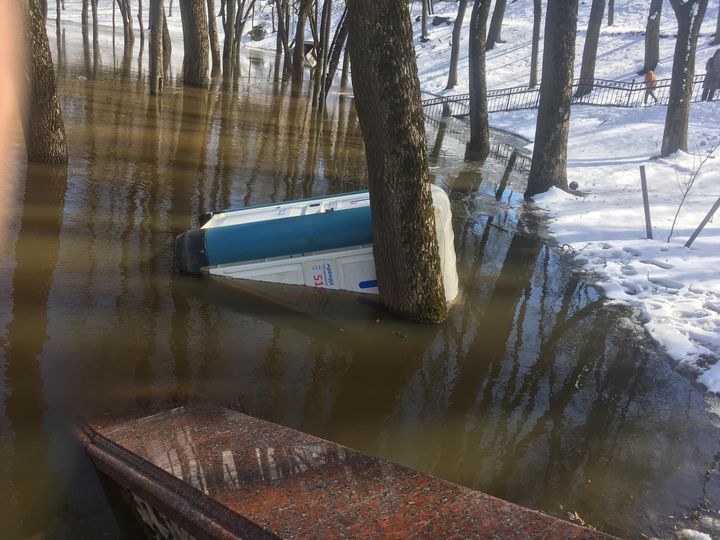 Как золотая рыбка в Витебске утонула