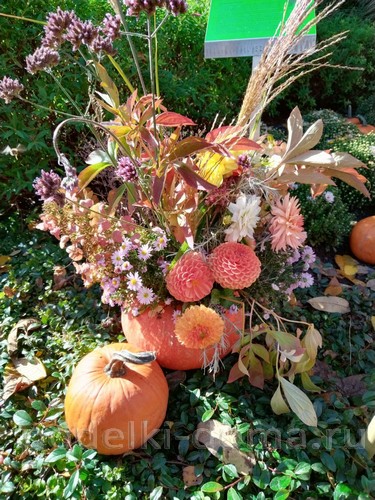 Поделки из тыквы