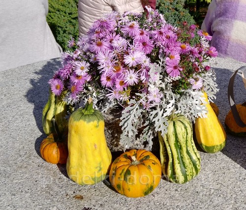 Поделки из тыквы