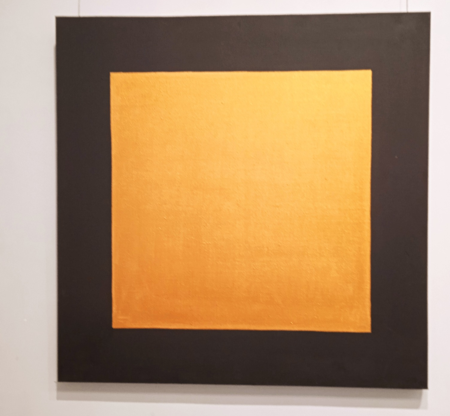 Проста пра складанае: «Сайарсізм» Сяргея Дажджу ў альма-матэр Шагала ў Віцебску