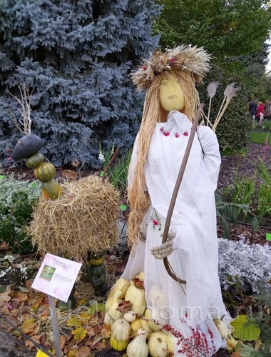 Поделки из тыквы